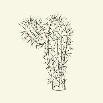 Stetsonia cactus isolated on light background. Wild cacti sketch. Engraving v Stock Illustration