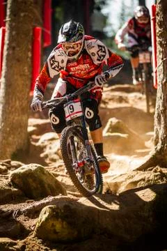 Steve Peat Foto stock