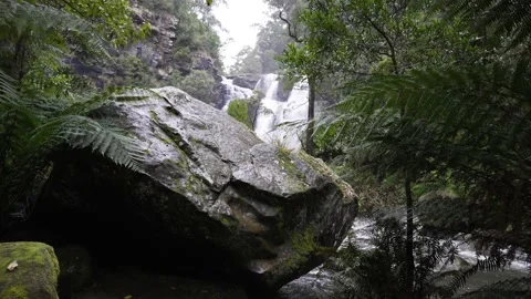 Stevensons Falls Stockbeeldmateriaal 217105997