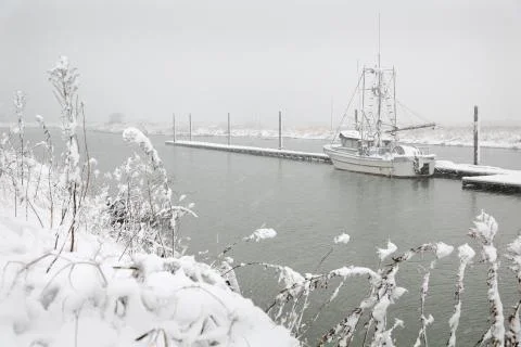 Steveston Dock Winter Snow 스톡 사진