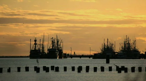 Steveston Harbor with Ships Stock Footage 712700