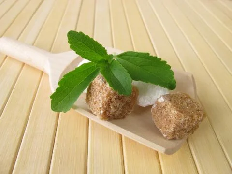 Stevia and sugar cubes Stock Photos