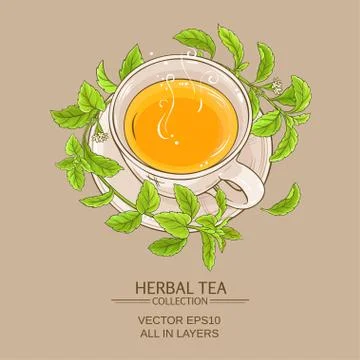 Stevia cup of tea Illustrazione stock
