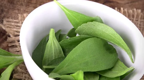 Stevia leaves (seamless loopable; 4K) Stock Footage