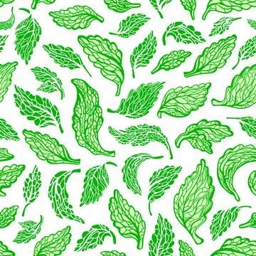 Stevia seamless pattern. Vector fresh organic leaf Stock Illustration