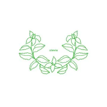 Stevia simple symbol. Vector branch, sugar leaf Stock Illustration