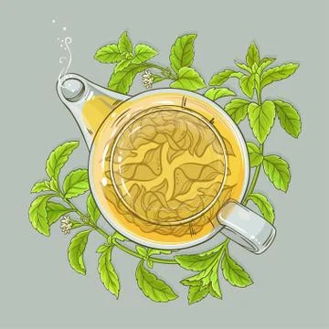 Stevia tea illustration Stock Illustration