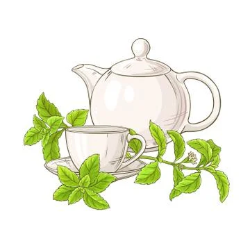 Stevia tea illustration Stockillustratie