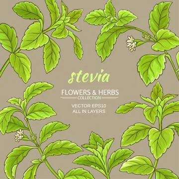 Stevia vector frame Stock Illustration
