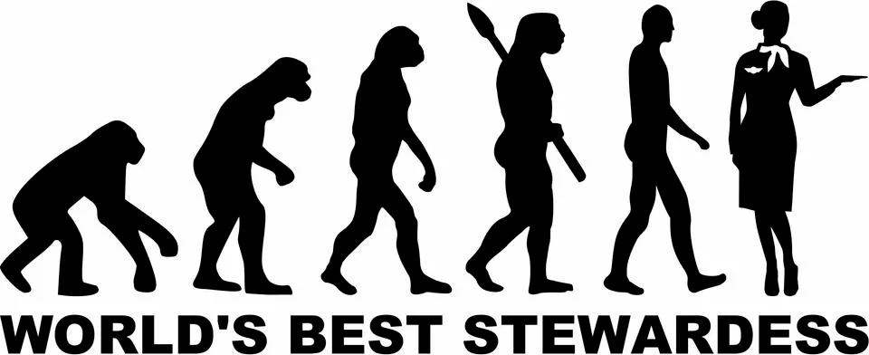 Stewardess Evolution Stock Illustration