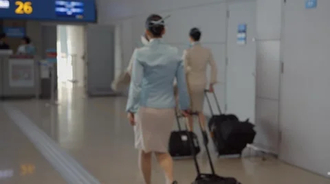 Stewardesses, cabin crew going to the gate in the international airort Stock Footage 49407779