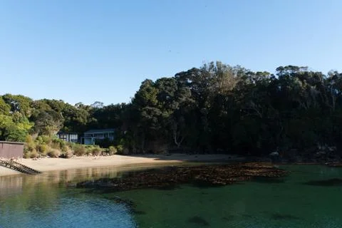 Stewart Island Bird Sanctuary New Zealand Stock Photos