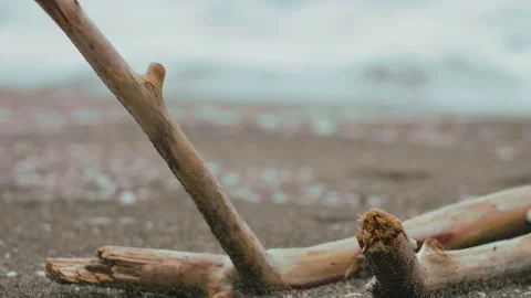 Stick on the beach Stock Footage 211814738