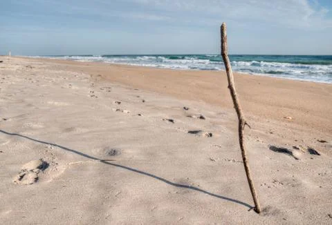 Stick at Beach 库存照片