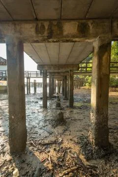 Stick on the bridge Stock Photos