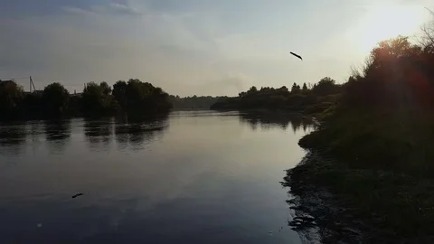 Stick falls into the river Video stock 80441234