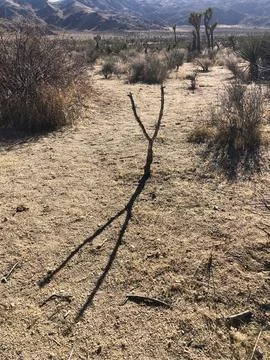 Stick Figure Shadow Creates a Unique View in Desert Landscape Under Sunlight Stock Photos