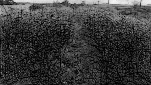 Stick forest walk Stock Footage 263178420