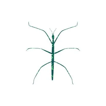 Stick insect spiral pattern color silhouette animal Stock Illustration
