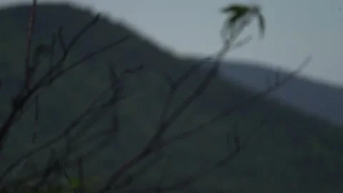 Stick mountain Stock Footage 171341012