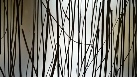 Stick Pattern Texture of Background - Backdrop - Graphic Design Element Stock Footage 333075769