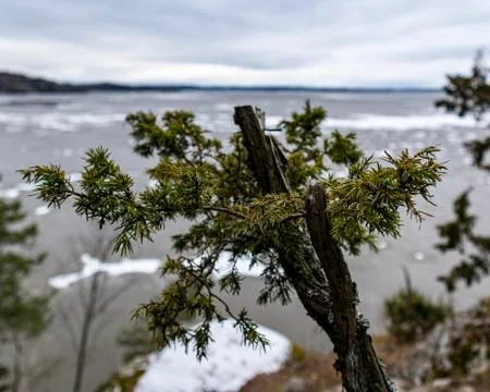 A stick Stock Photos