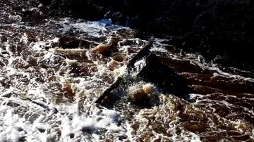 Stick on a rock Stock Footage 85854636