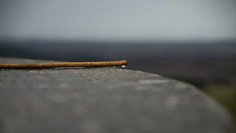 Stick on stone Stock Photos