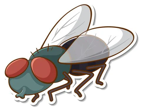 Sticker design with fly insect isolated Stock Illustration