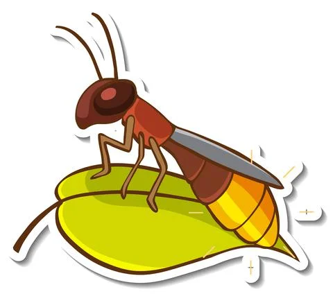 Sticker design with insect on a leaf isolated イラスト素材