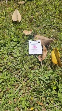 Sticker in the grass Stock Photos