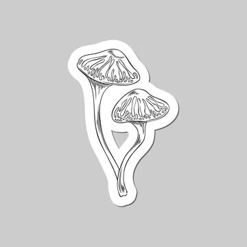 Sticker or sticky label with toadstools mushrooms engraving vector isolated. Illustrazione stock
