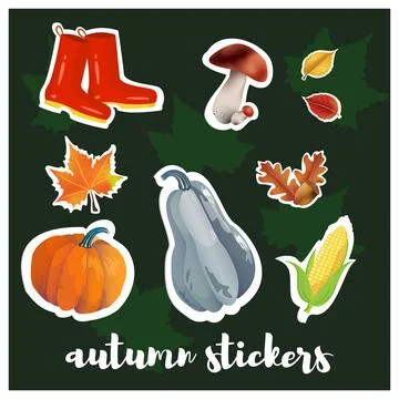 Sticker set autumn elements. Fall leaves, mushrooms, maple, acorns, oak, pump 스톡 일러스트