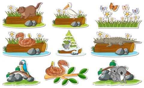 Sticker set with different wild animals and nature elements Stockillustratie
