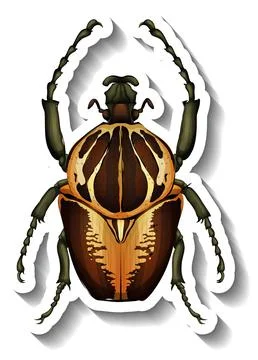 A sticker template with a beetle isolated Stock Illustration