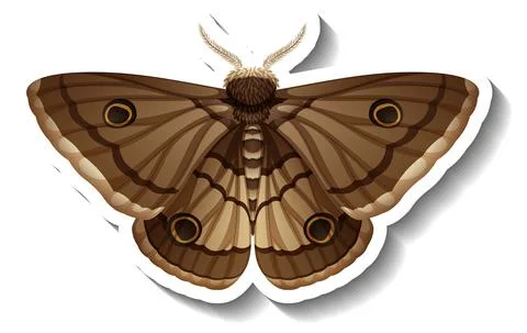 A sticker template with butterfly or moth isolated Stock Illustration