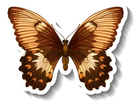 A sticker template with butterfly or moth isolated Stock Illustration