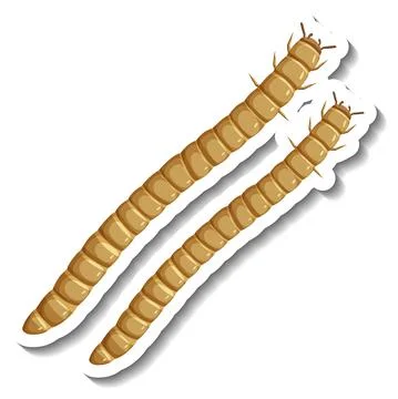 A sticker template with Centipedes isolated Stock Illustration