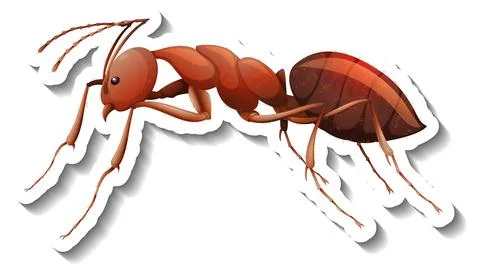 A sticker template with close up of red ant isolated Illustrazione stock