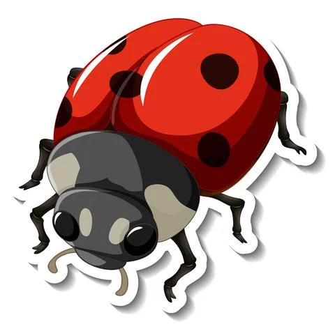 A sticker template with a red ladybug isolated 스톡 일러스트
