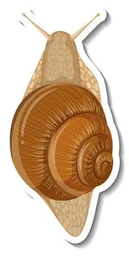 A sticker template with a snail isolated イラスト素材