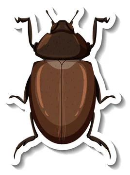 A sticker template with top view of a beetle isolated Illustrazione stock