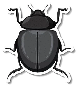 A sticker template with top view of a beetle isolated Stock Illustration