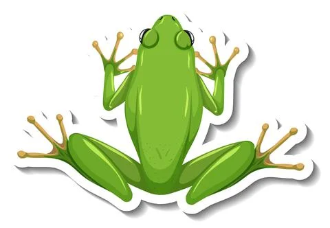 A sticker template with top view of green frog isolated 스톡 일러스트