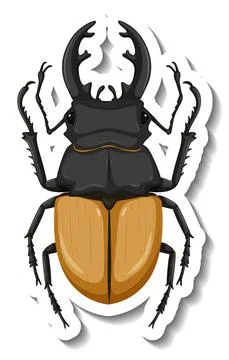 A sticker template with top view of a stag beetle isolated Stock Illustration