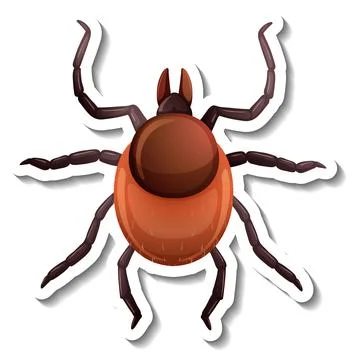 A sticker template with top view of a tick isolated Stock Illustration