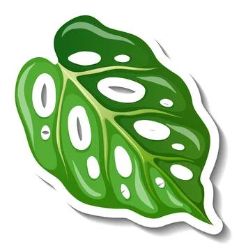 A sticker template with a tropical leaf isolated Stock Illustration