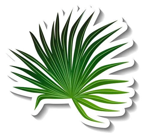 A sticker template with a tropical leaf isolated Stock Illustration