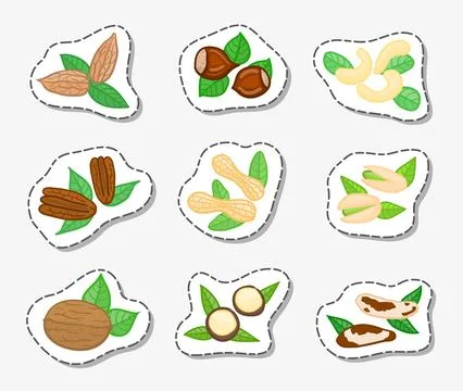 Stickers with doodle nuts. Illustrazione stock