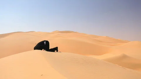 Sticking your head into the sand Vidéo 562811